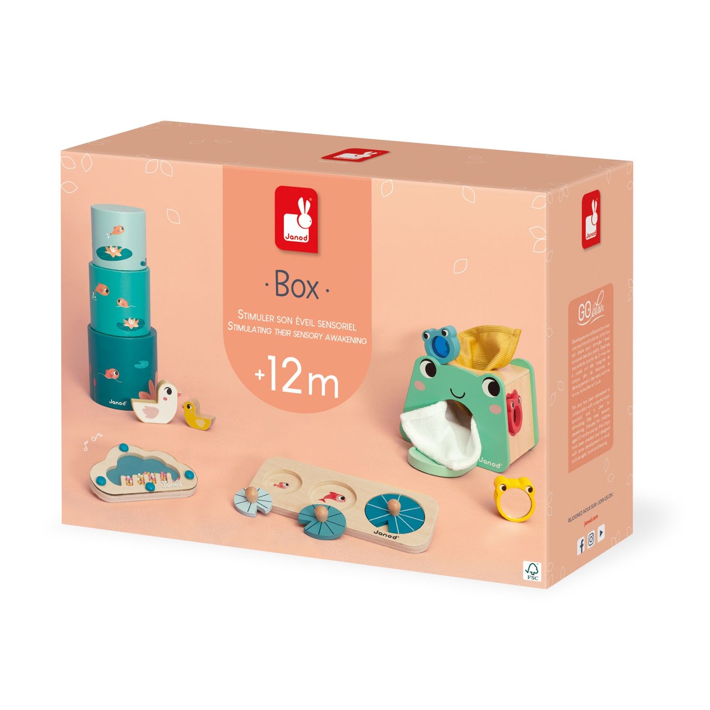 Box 12 Meses