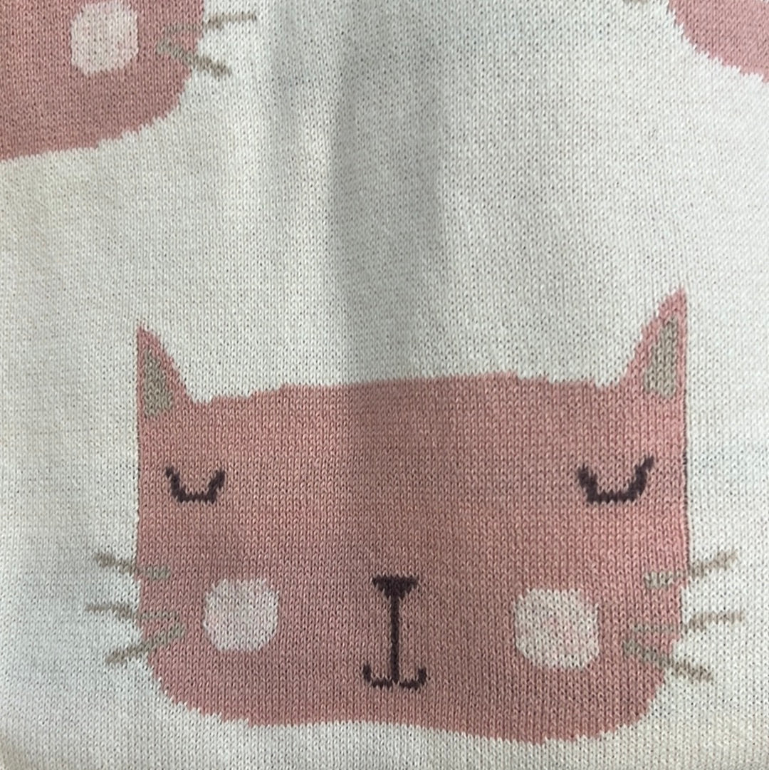 Manta Gato