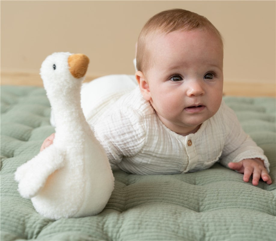 Tentetiesos Oca Little Dutch