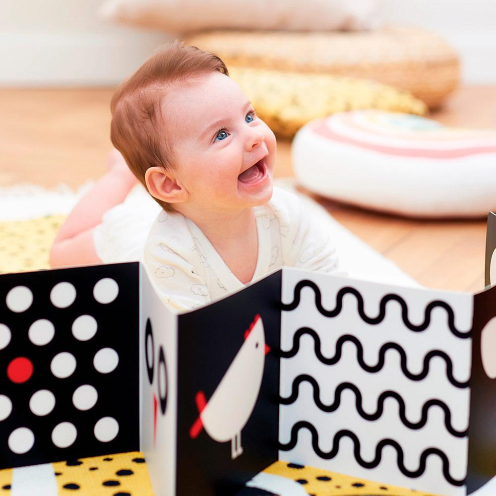 Baby Pack Alto Contraste