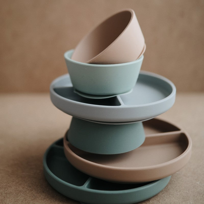 Bol con Ventosa Solid Blush