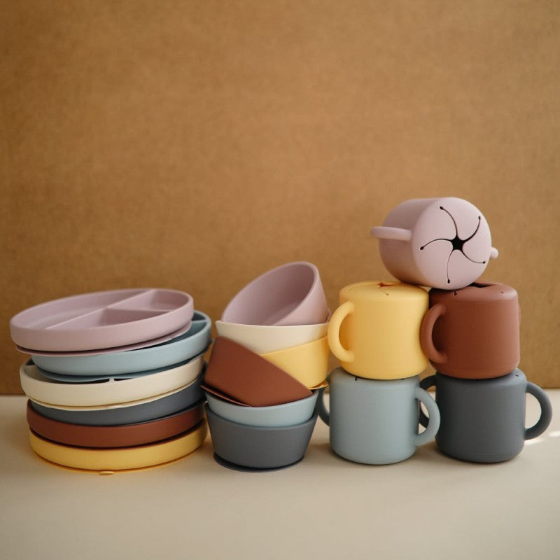 Bol con Ventosa Solid Blush