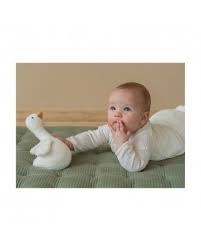 Tentetiesos Oca Little Dutch