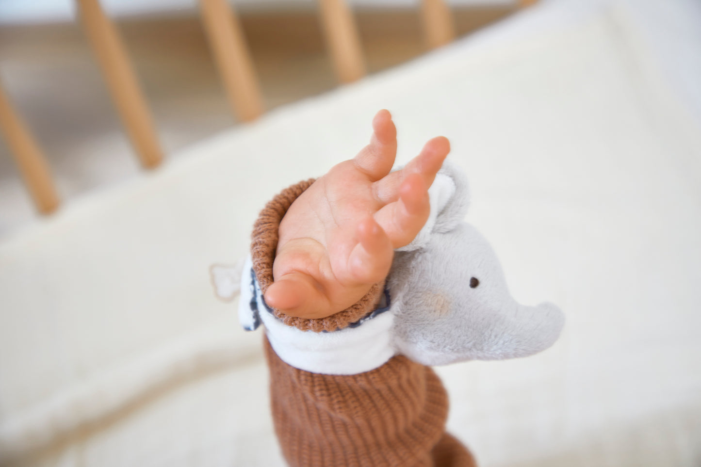 Pulsera y Patucos con Sonidos Elefante