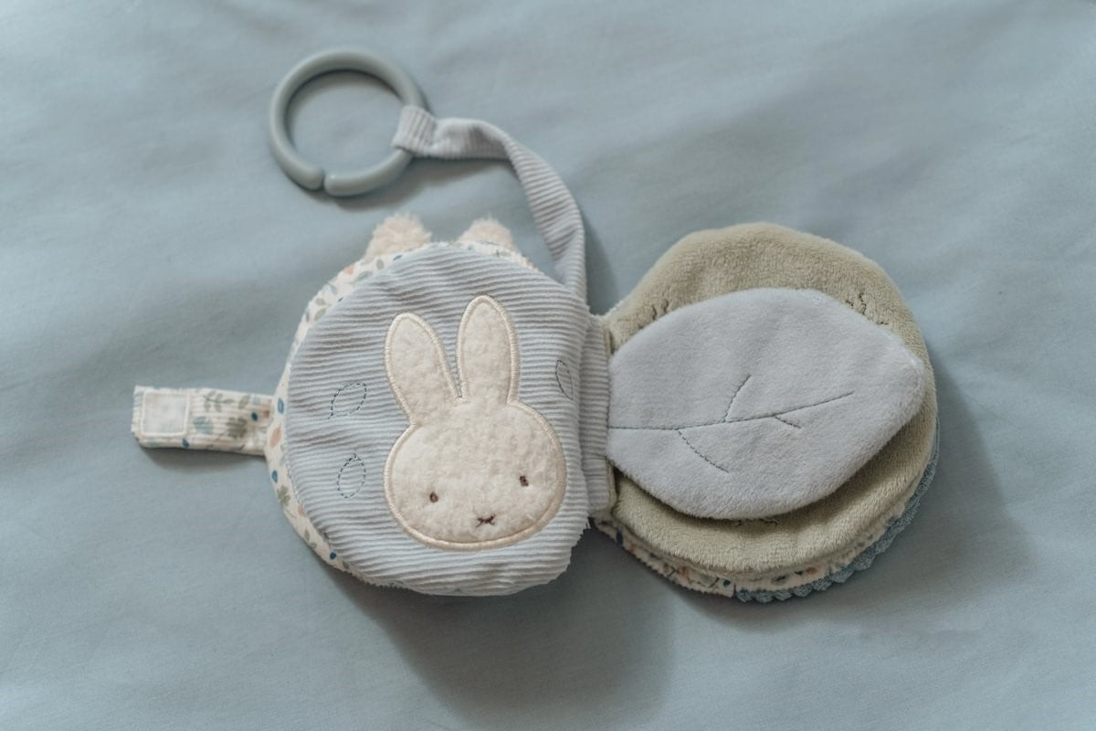 Librito Blando Actividades Anilla Leaves