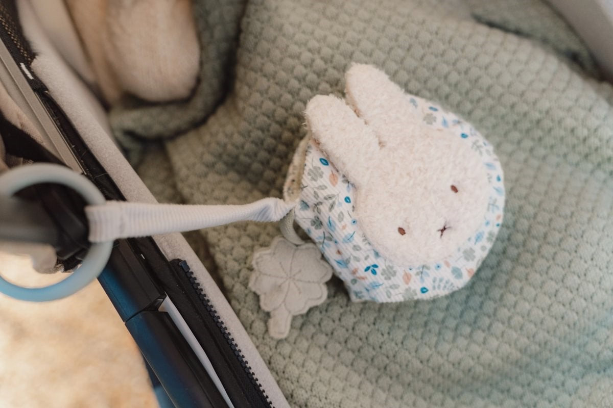 Librito Blando Actividades Anilla Leaves