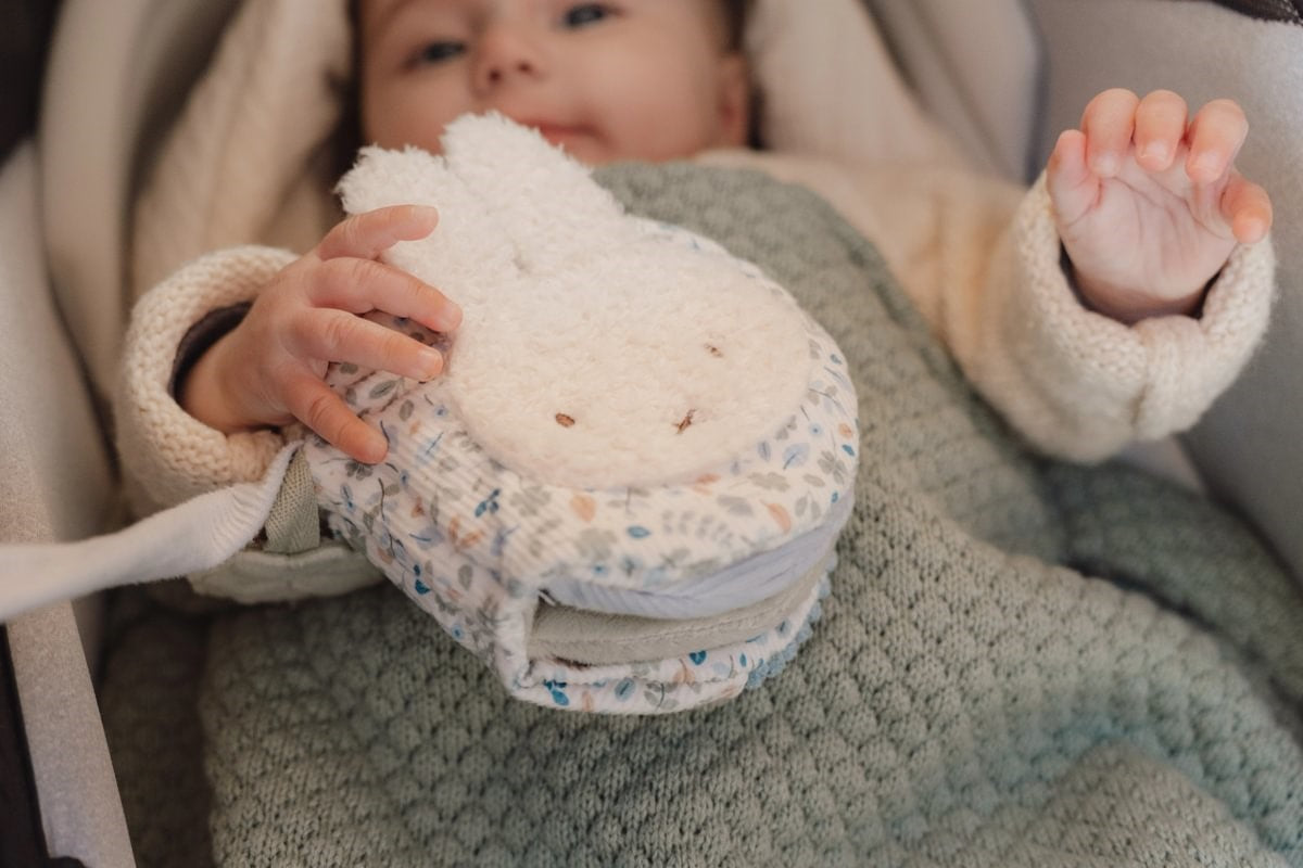 Librito Blando Actividades Anilla Leaves